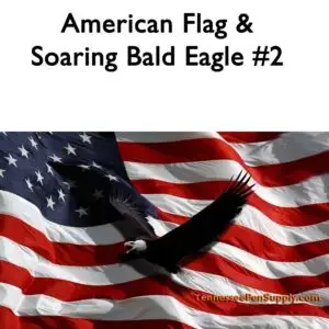 American Flag & Soaring Bald Eagle #2