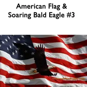 American Flag & Soaring Bald Eagle #3